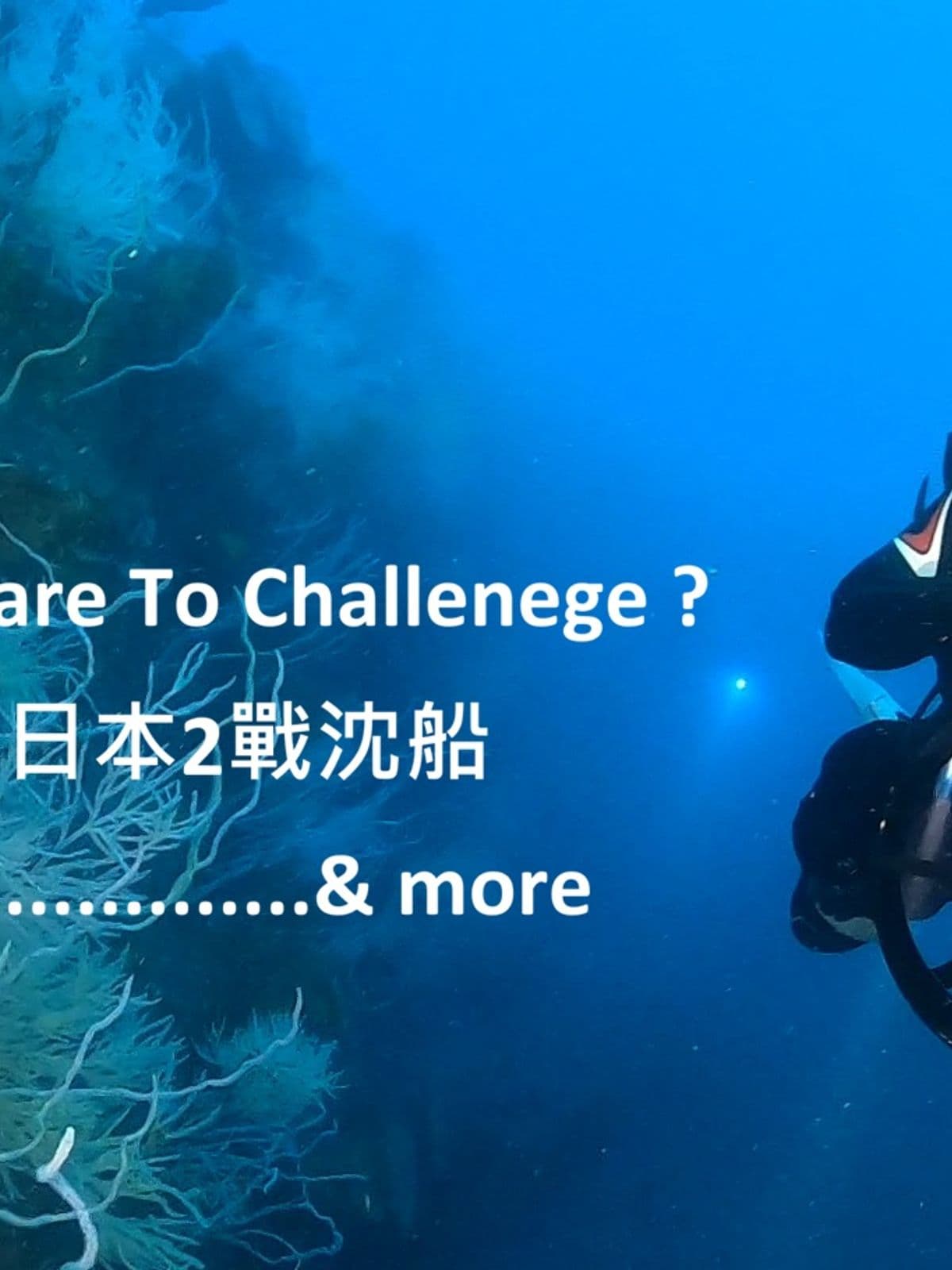 當陽艦 Tang-Yang Wreck